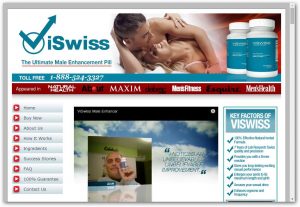 viswiss-website