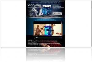 viconan-website