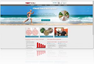 test-worx-website